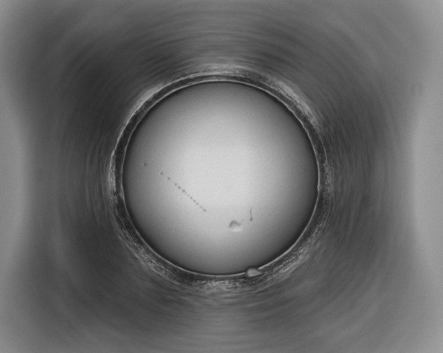 X0000116340883200912091107