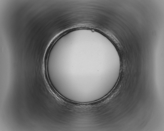 X0000116340888200912091107