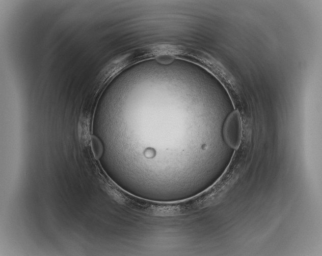 X0000116340889200912091107