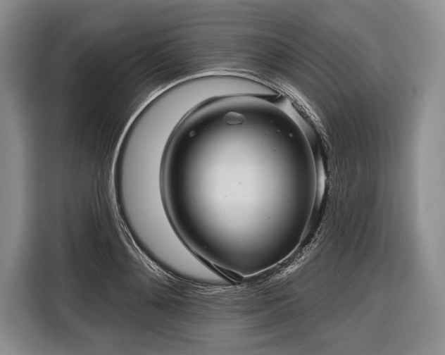 X0000116340892200912091107