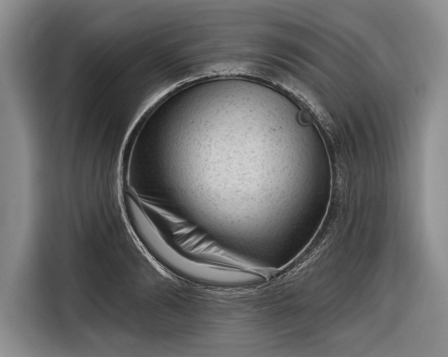 X0000116340894200912091107