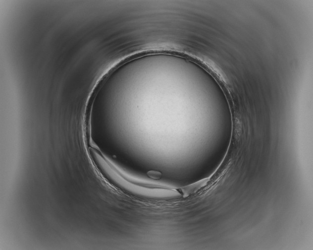 X0000116340895200912091107