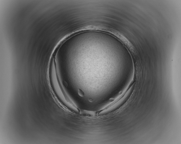 X0000116340896200912091107