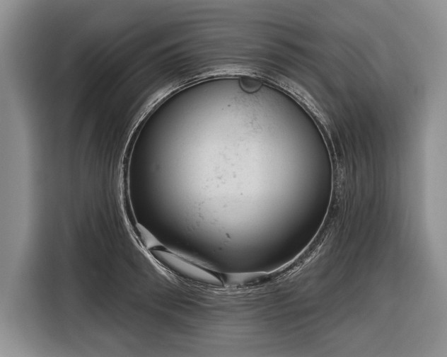 X0000116340898200912091107