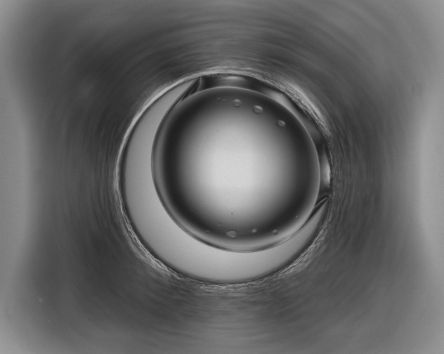 X0000116340900200912091107