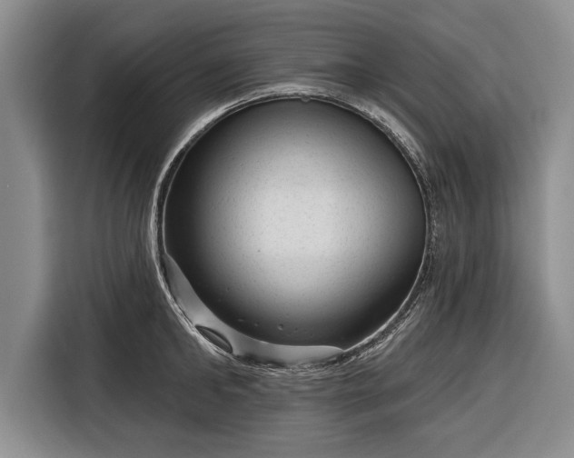 X0000116340902200912091107