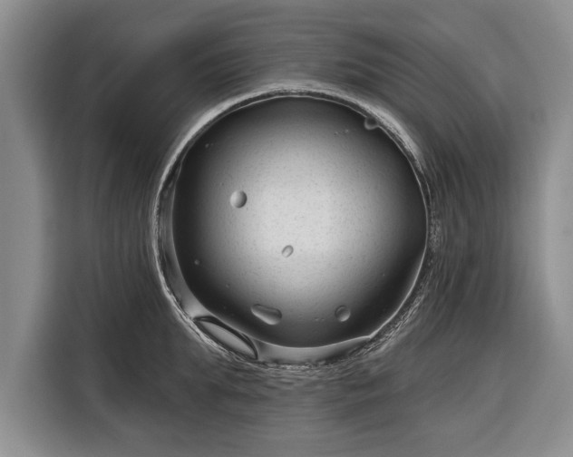 X0000116340903200912091107