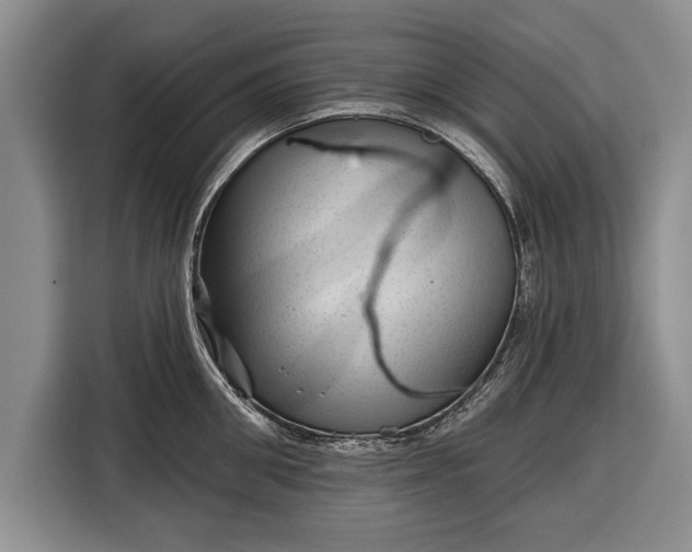 X0000116340906200912091107