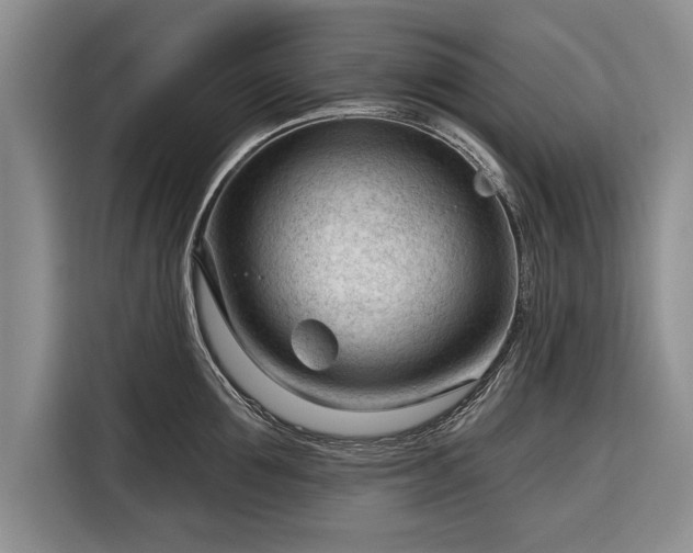 X0000116340907200912091107