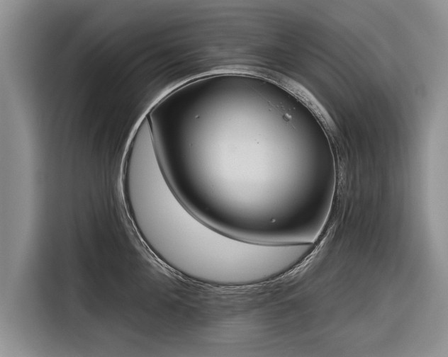 X0000116340908200912091107