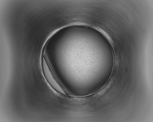 X0000116340910200912091107