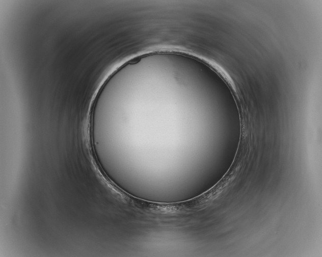 X0000116340911200912091107