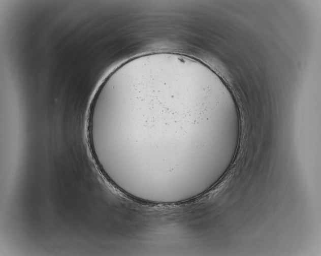 X0000116340912200912091107