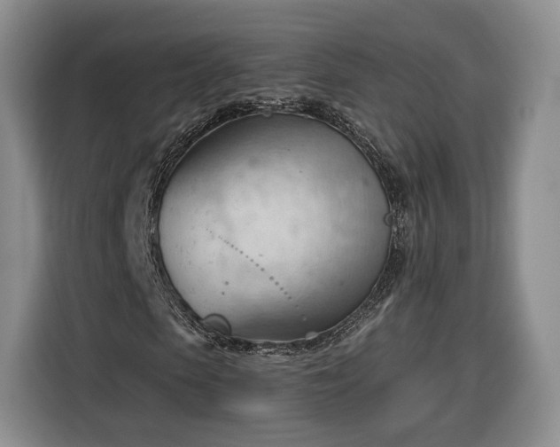 X0000116340913200912091106