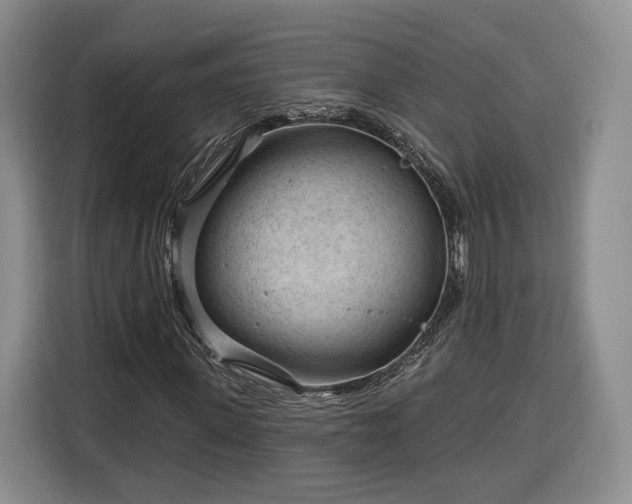 X0000116340915200912091106