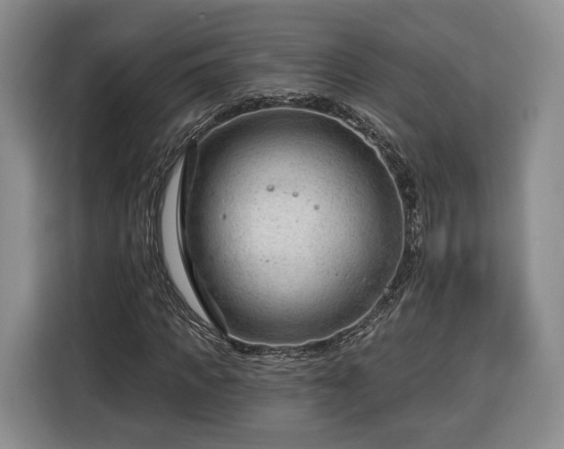 X0000116340917200912091106