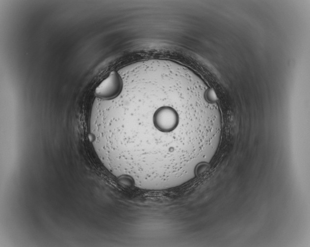 X0000116340918200912091106