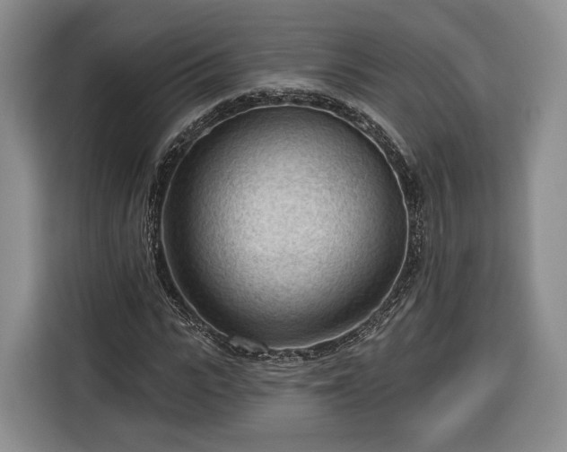 X0000116340919200912091106