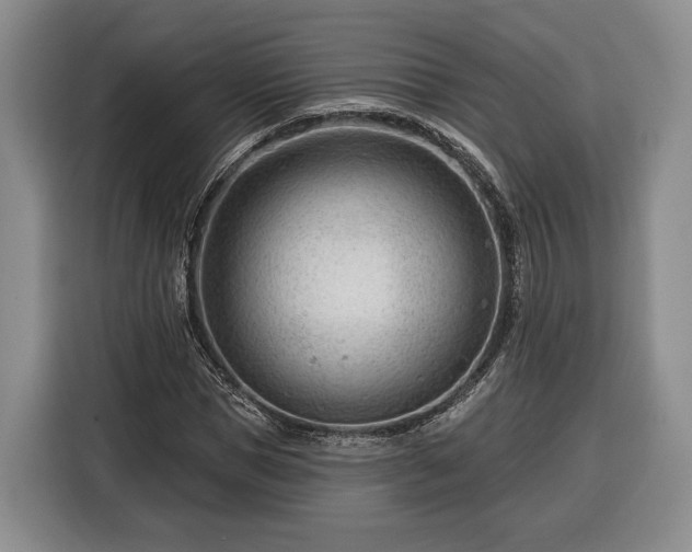 X0000116340921200912091106