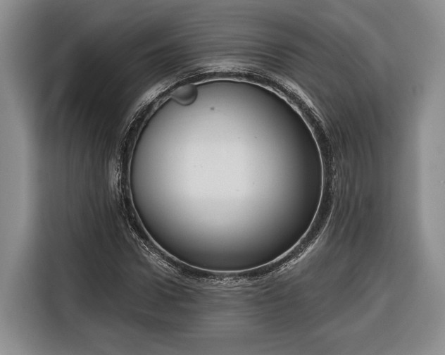 X0000116340922200912091106