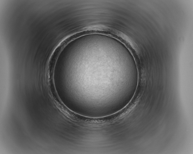 X0000116340923200912091106