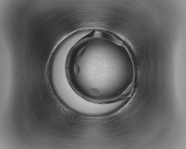 X0000116340925200912091106