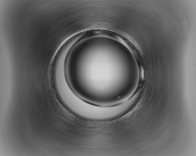 X0000116340926200912091106