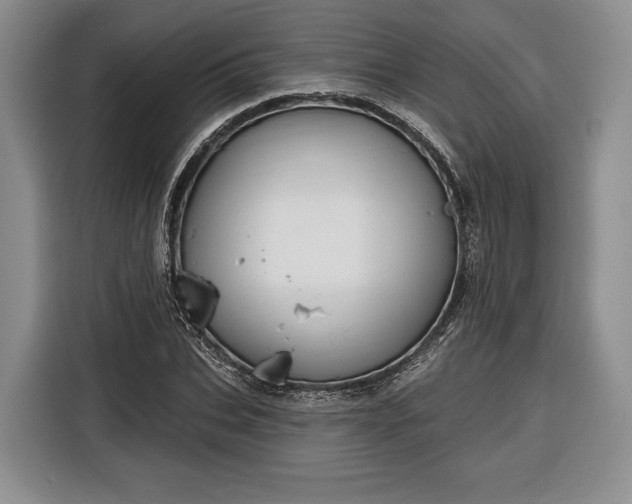 X0000116340927200912091107