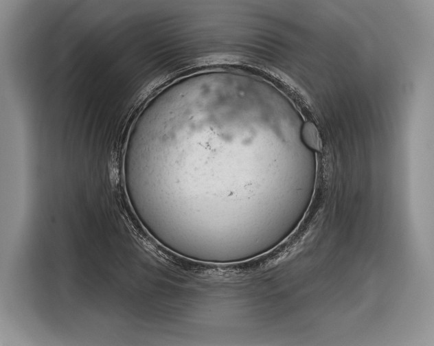 X0000116340929200912091107