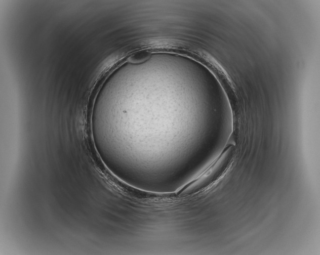 X0000116340930200912091107