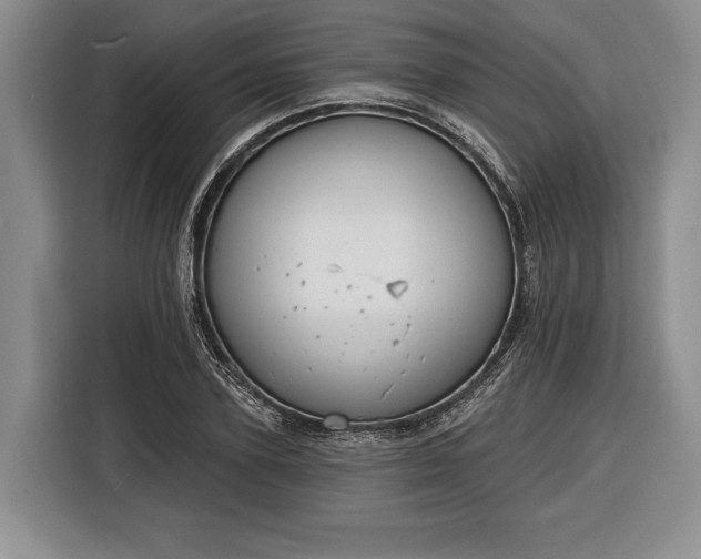 X0000116340931200912091107