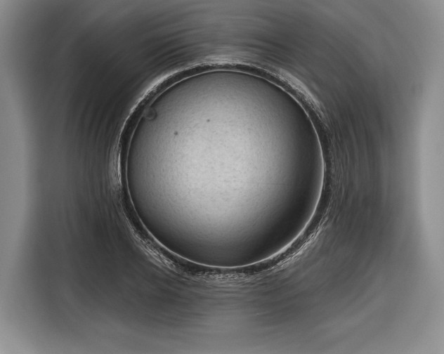 X0000116340934200912091107