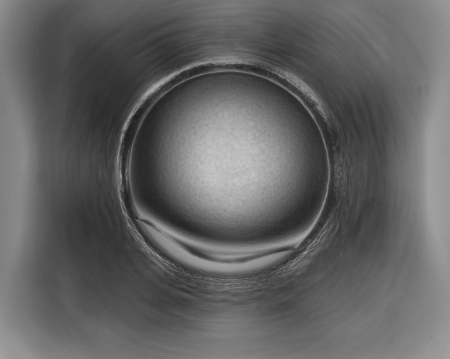 X0000116340935200912091107