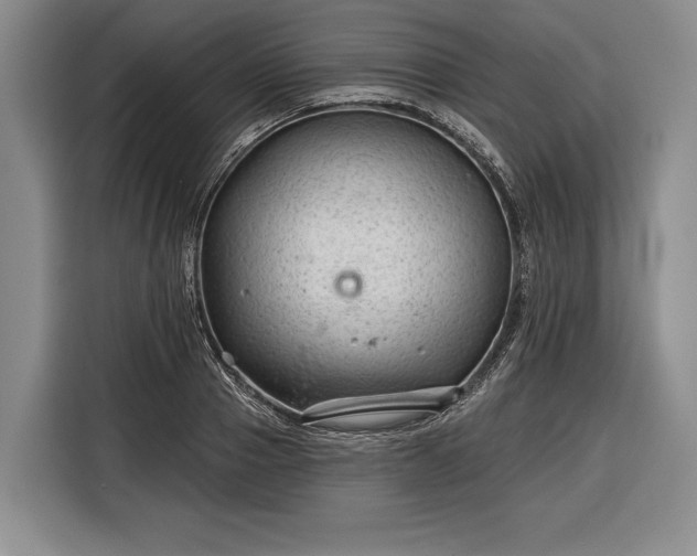 X0000116340937200912091107