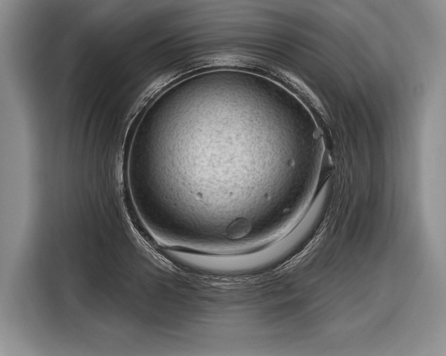 X0000116340938200912091107