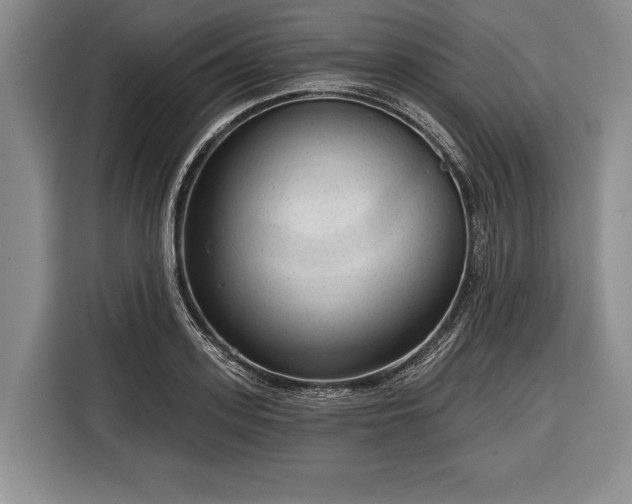 X0000116340939200912091107