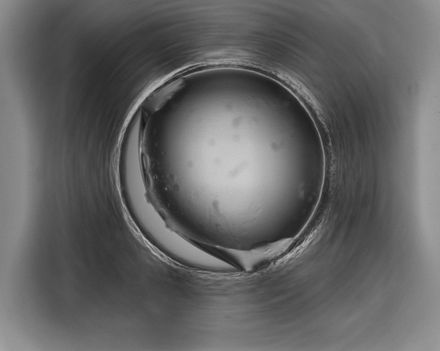 X0000116340941200912091107