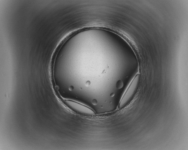 X0000116340942200912091107