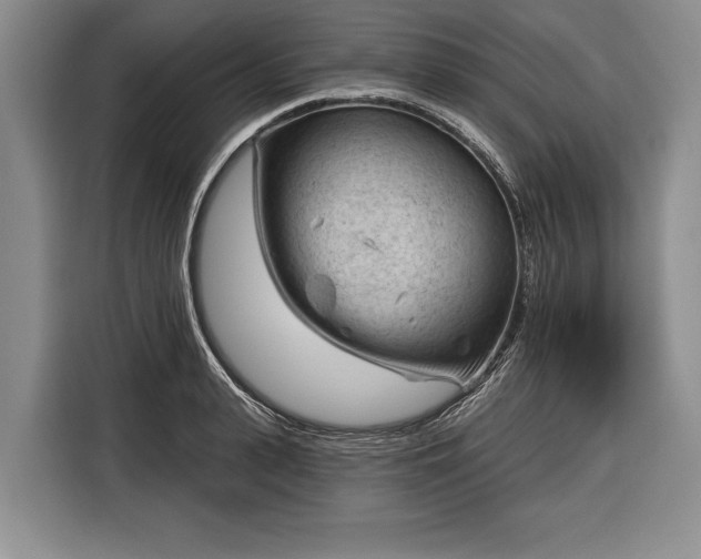 X0000116340943200912091107