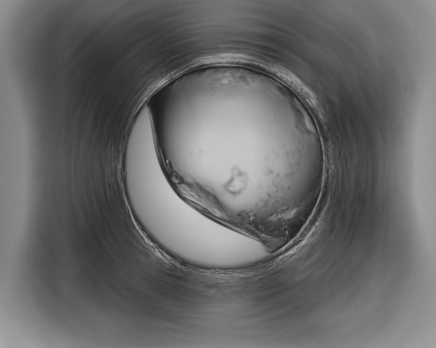 X0000116340945200912091107