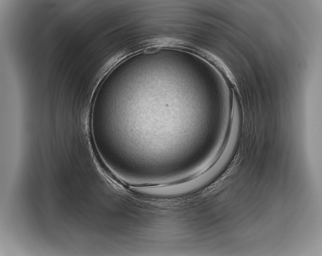 X0000116340946200912091107