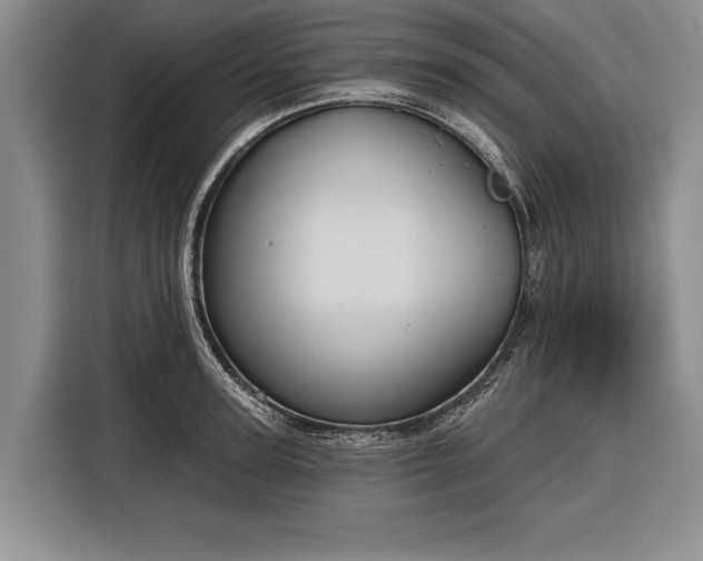 X0000116340947200912091107