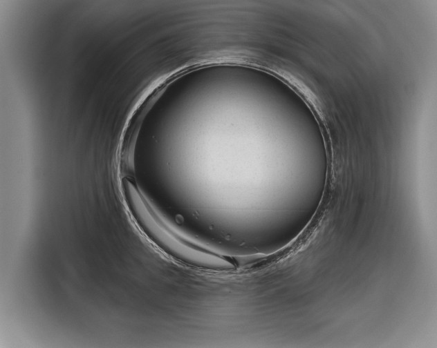 X0000116340949200912091107