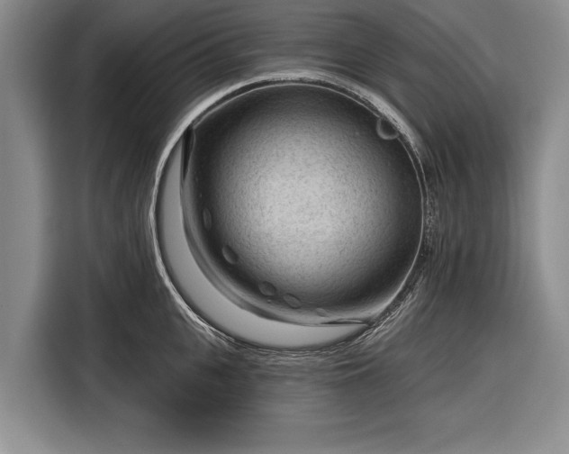 X0000116340951200912091107