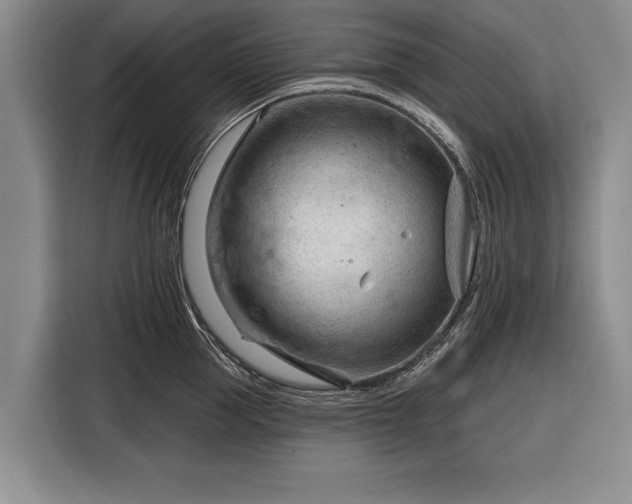 X0000116340953200912091107