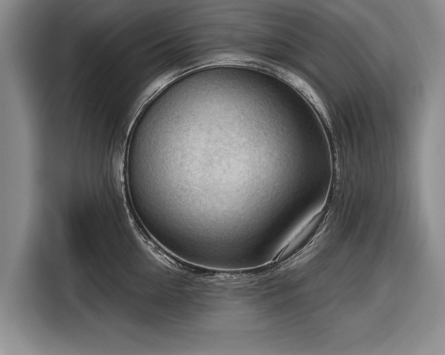 X0000116340954200912091107