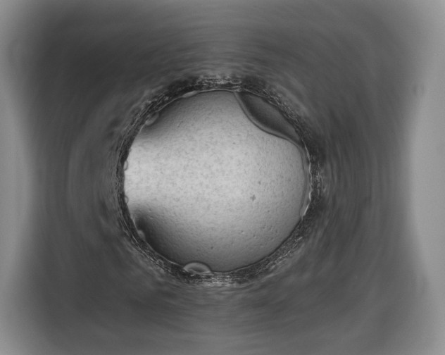 X0000116340961200912091106