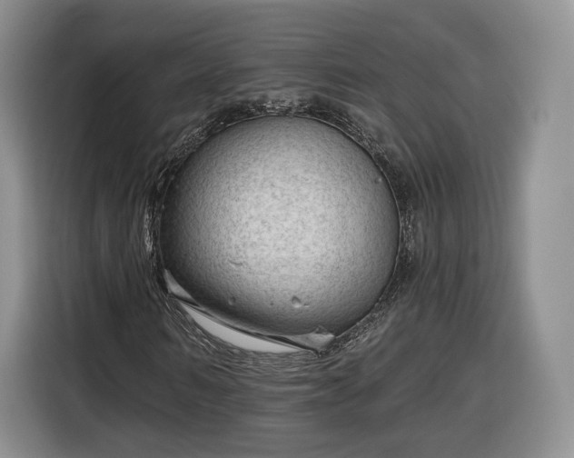 X0000116340962200912091106