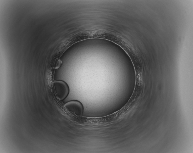 X0000116340963200912091106