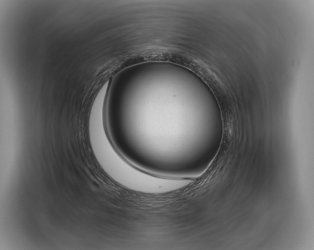 X0000116340964200912091106